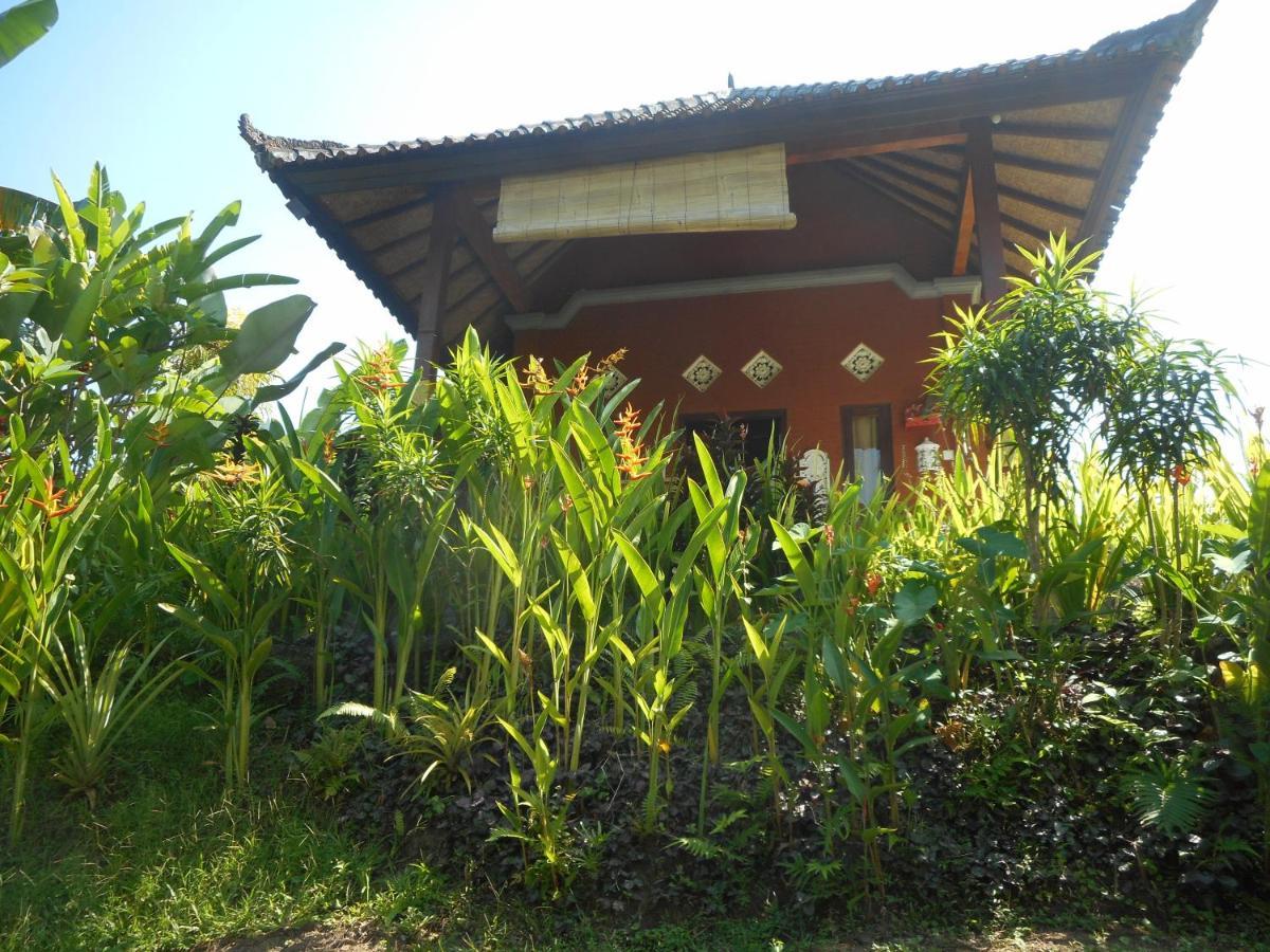 Cegeng Lestari Guesthouse Sidemen  Luaran gambar