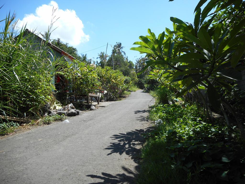 Cegeng Lestari Guesthouse Sidemen  Luaran gambar
